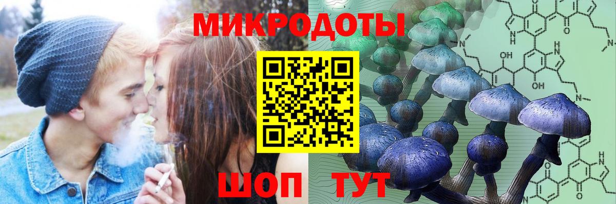 Сочи  Псилоцибиновые грибы MAGIC MUSHROOMS  Вход с VPN  Галлюциногенные грибы Cubensis 